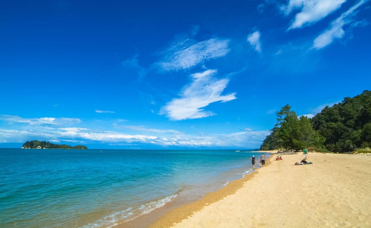 Photo de Ngaio Bay Beach avec sable lumineux de surface