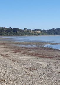 Ruby Bay