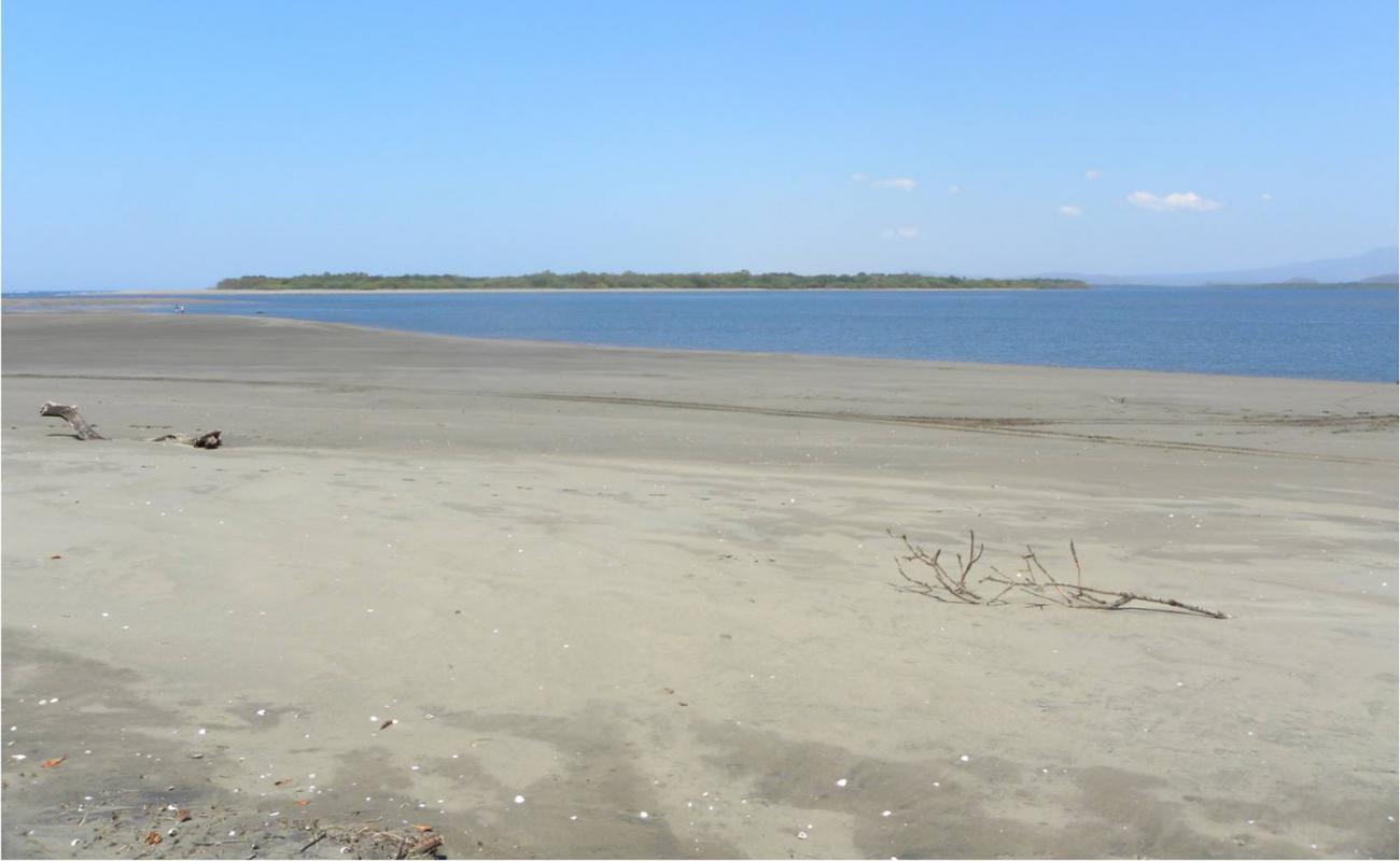 Photo de Mechapa beach avec sable brun de surface