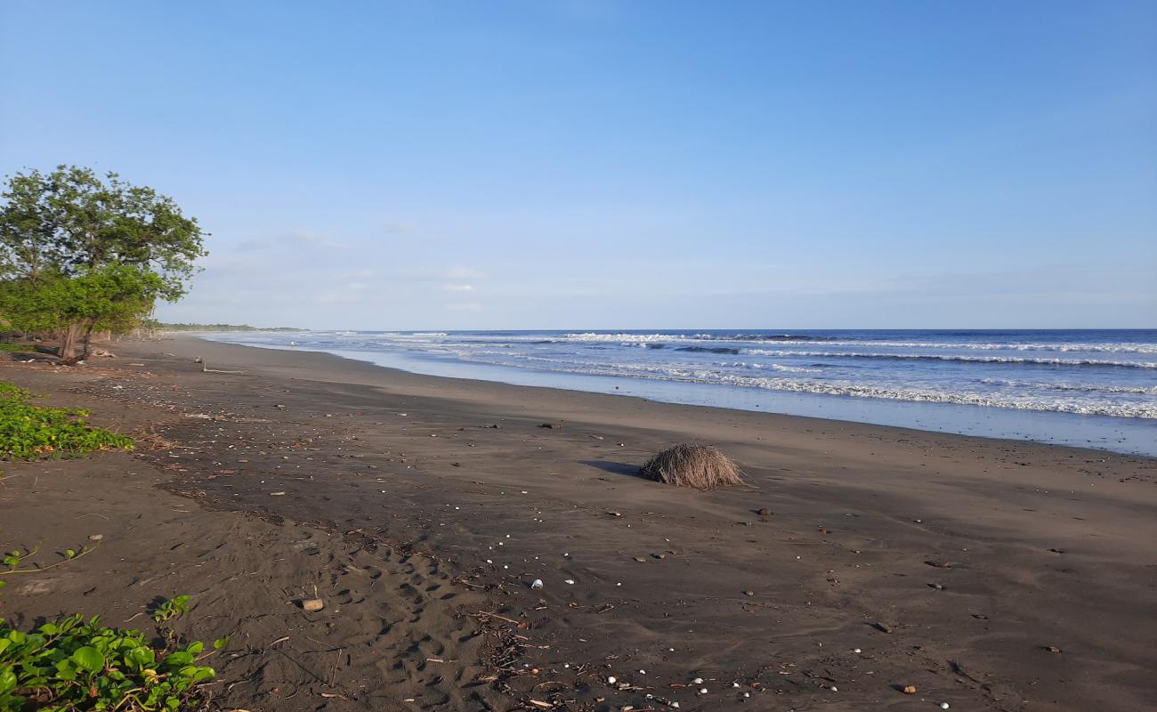 Photo de Los Zorros beach avec sable brun de surface