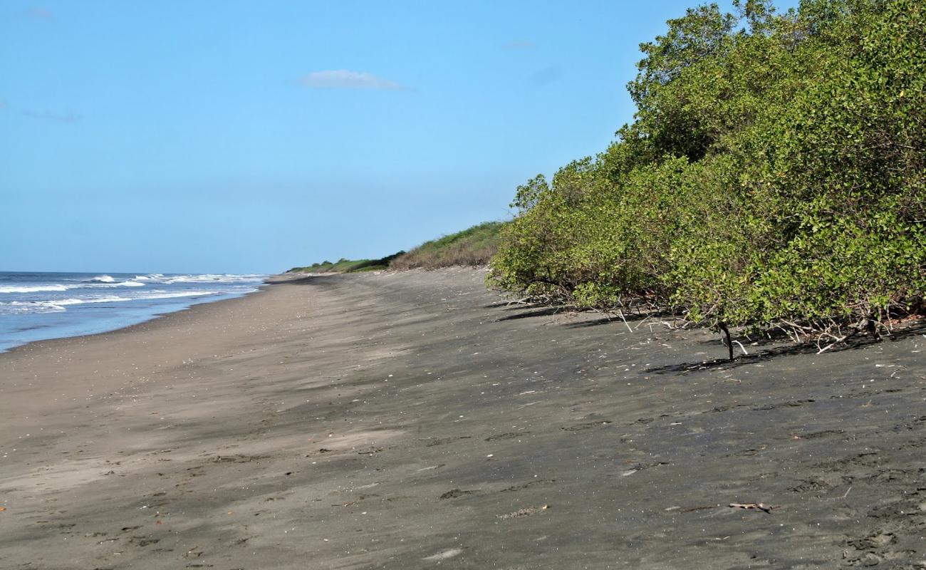 Photo de Reserva Natural beach avec sable gris de surface