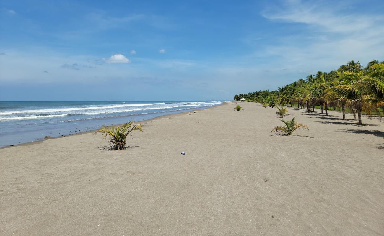 Photo de Montelimar beach avec sable beige de surface