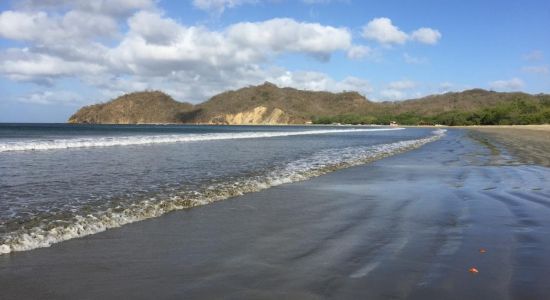 La plage d'Ostional