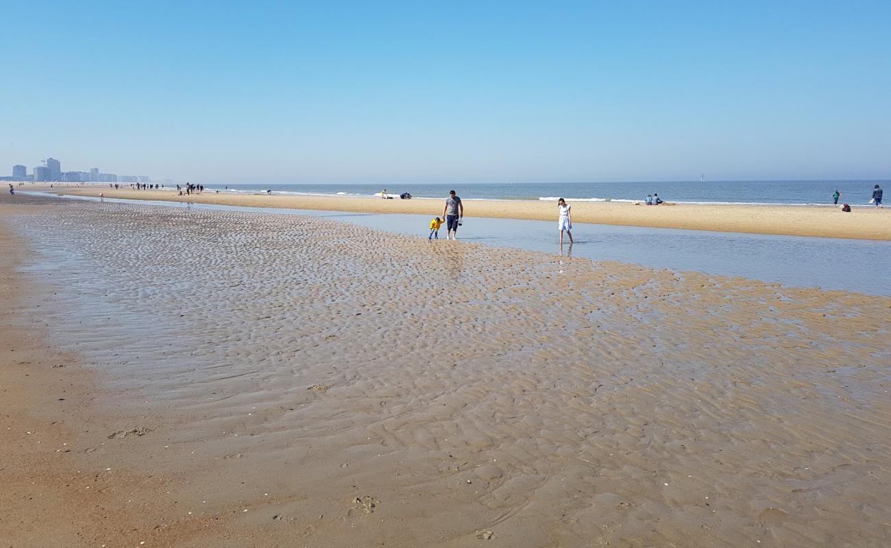 Photo de Plage d'Ostende avec sable lumineux de surface