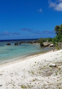 Songsong