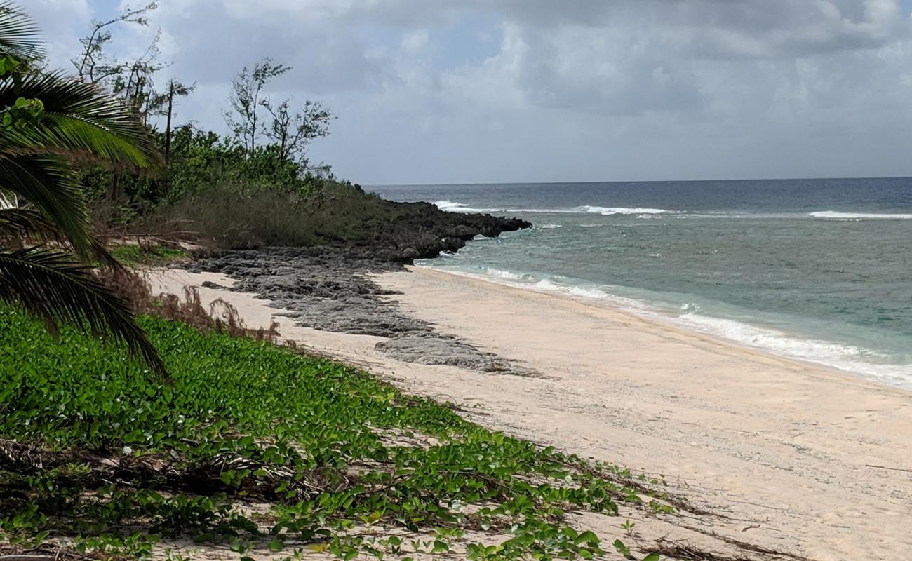 Photo de Marine Beach avec sable beige & pierres de surface
