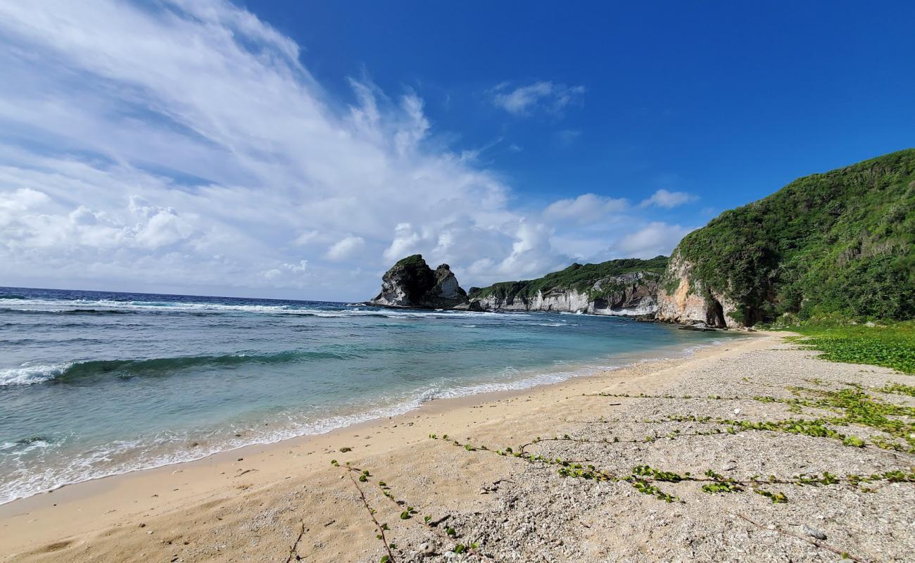 Photo de Bird Island Beach avec sable beige & galets de surface