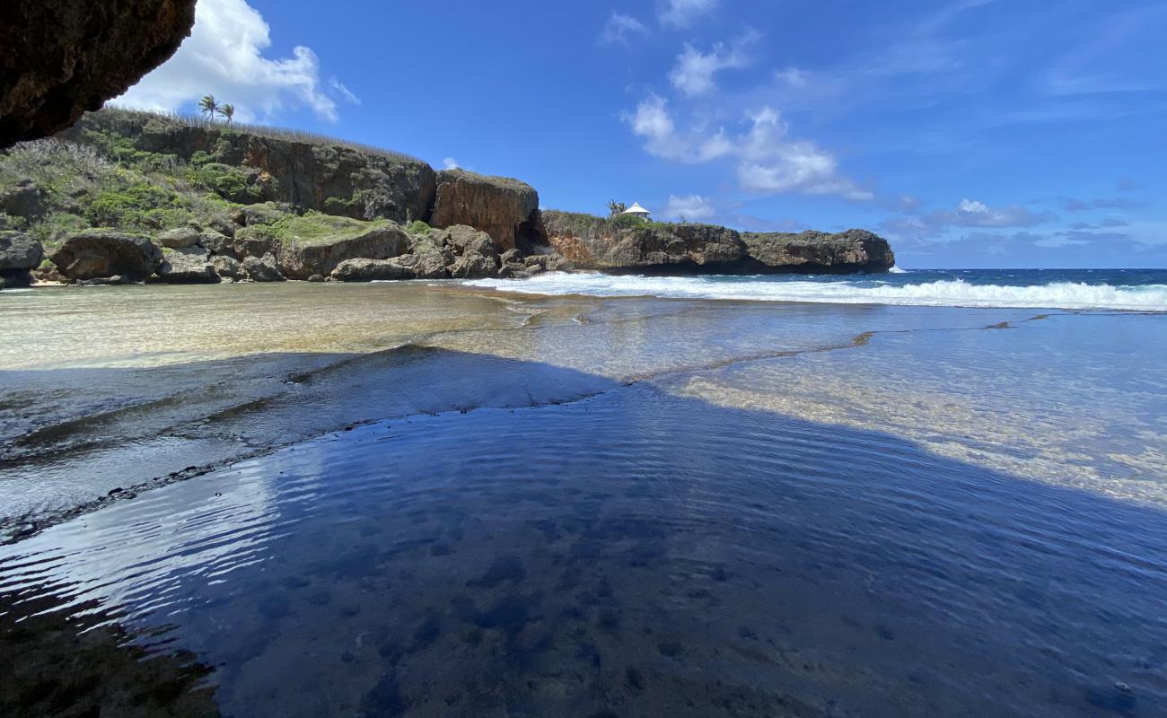 Photo de Jeffrey's Beach avec sable beige & galets de surface