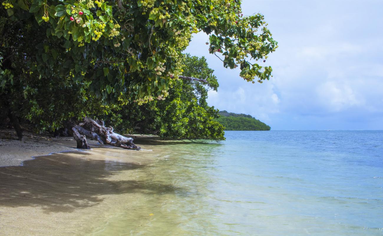 Photo de Coco Beach Resort avec sable lumineux de surface