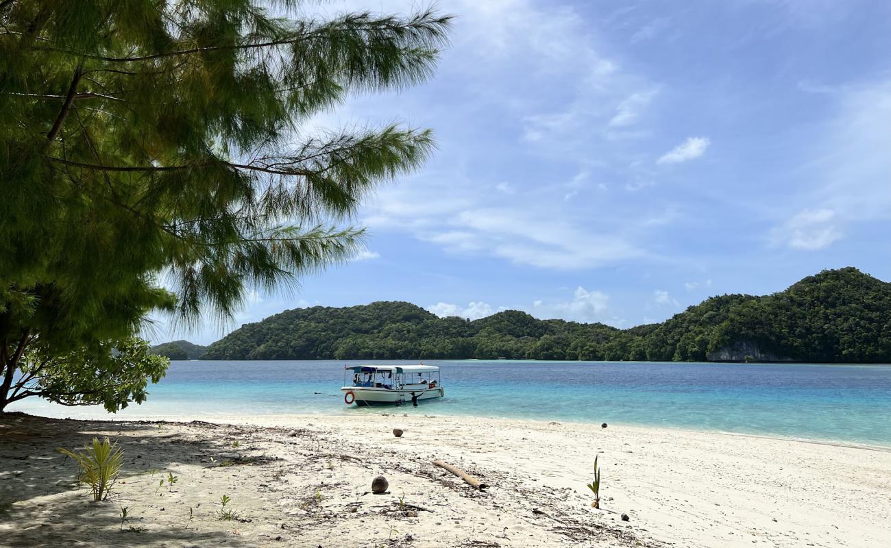 Photo de Ngermeaus Island Park avec sable blanc de surface