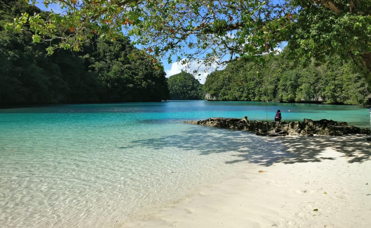 Photo de Ngchus Beach avec sable blanc de surface