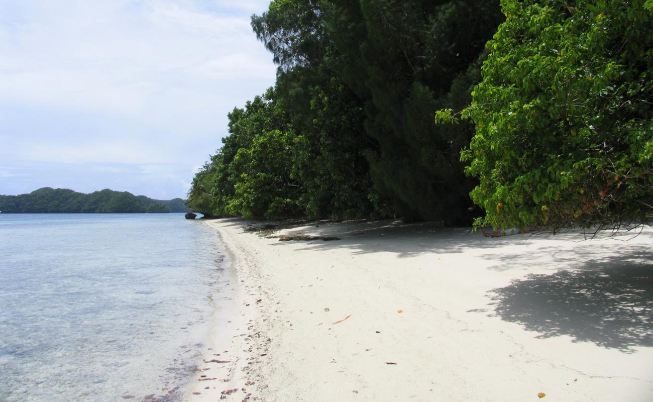 Photo de Rock Islands Beach avec sable fin blanc de surface