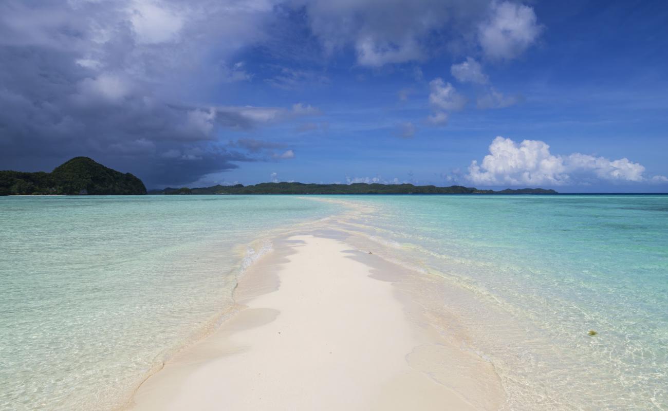 Photo de Long Beach avec sable fin blanc de surface