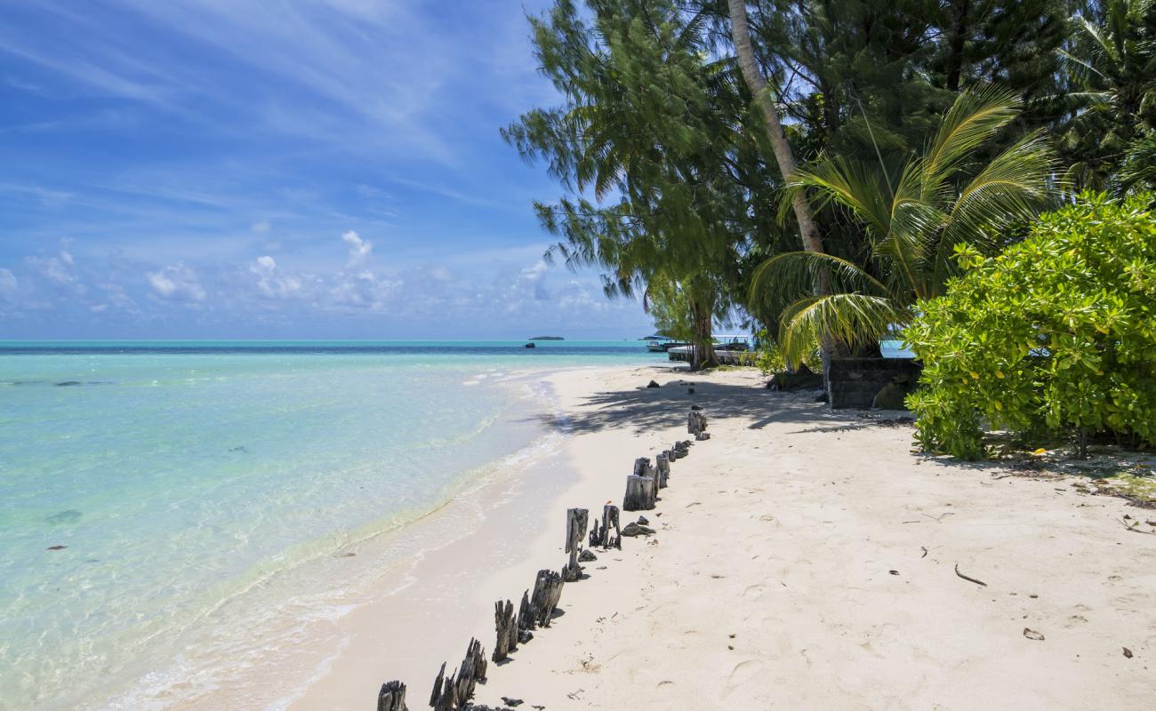 Photo de Carp Island Resort avec sable blanc de surface
