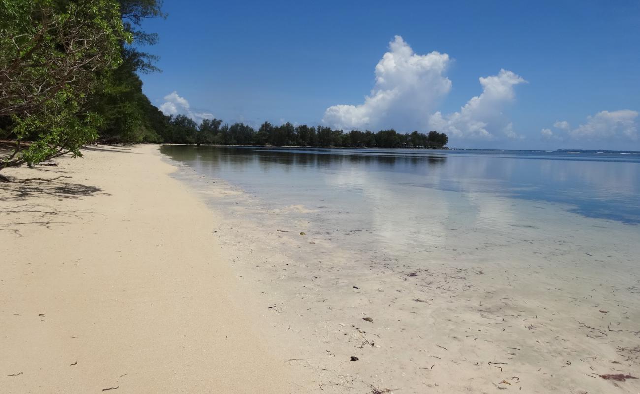 Photo de Orange Beach avec sable lumineux de surface