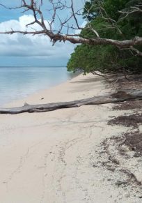 État de Peleliu