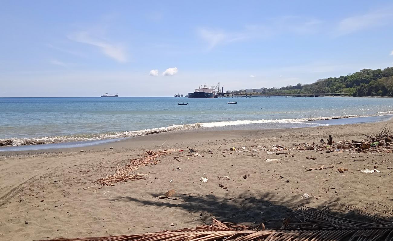 Photo de Playa Punta de Piedra avec sable gris de surface
