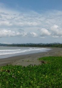 El Palmar