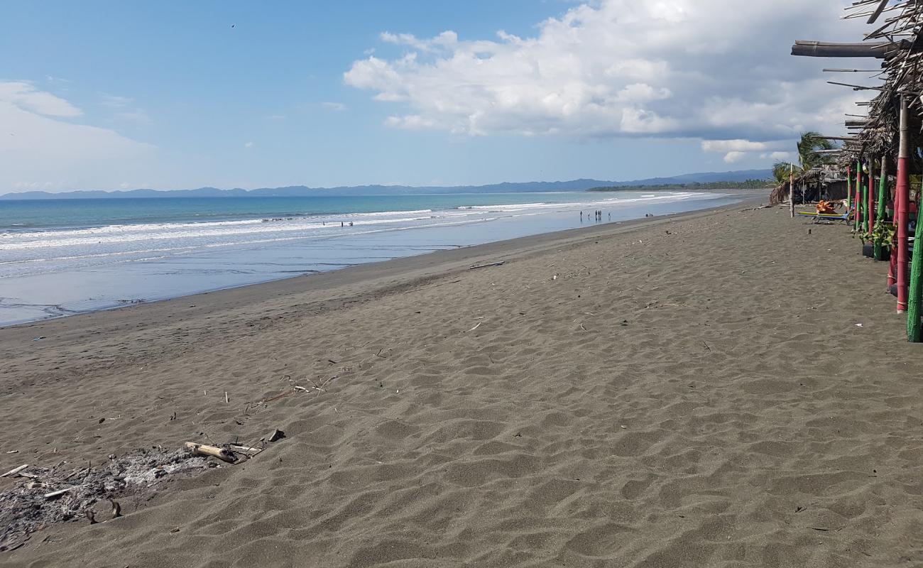 Photo de Playa De Los Olivos avec sable brun de surface