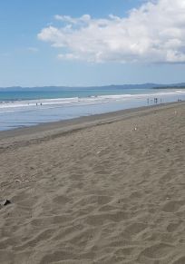 Los Olivos
