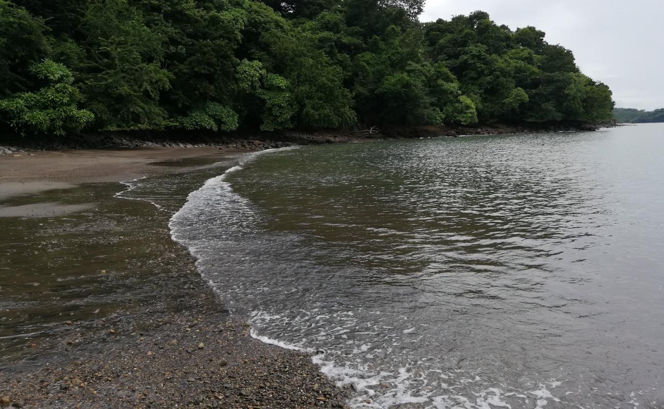 Photo de Playa Piedrita avec sable brillant et rochers de surface