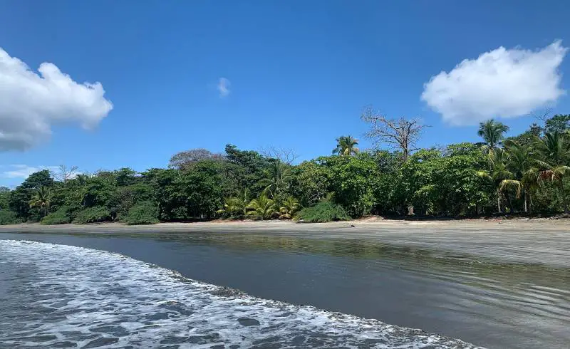 Photo de Playa Coca avec sable lumineux de surface