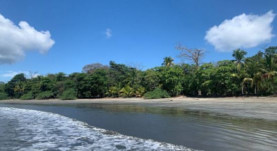 Playa Coca