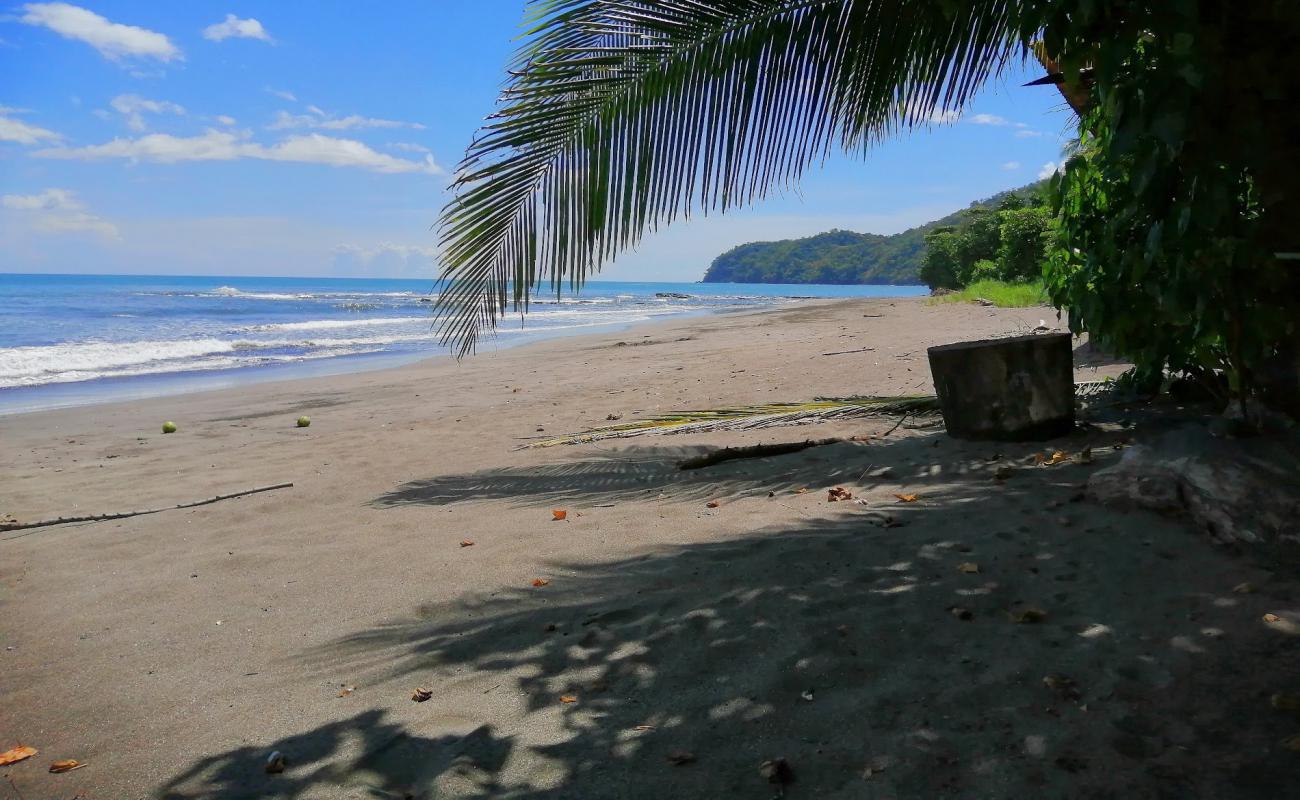 Photo de Bucaro Beach avec sable brun de surface