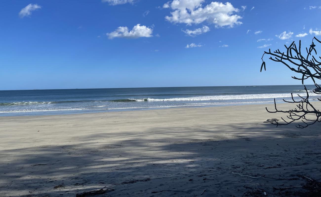 Photo de Madronito Beach avec sable brun de surface