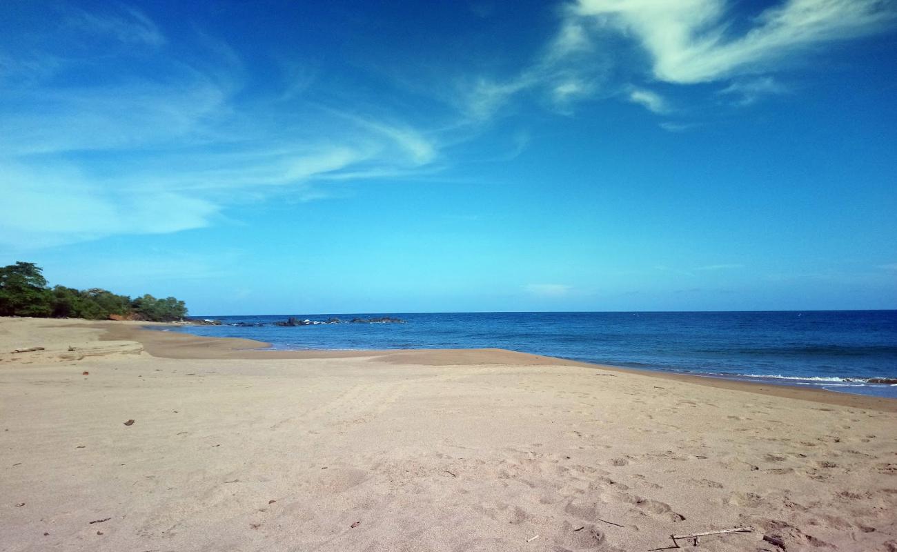 Photo de Lagart Point Beach avec sable brun de surface