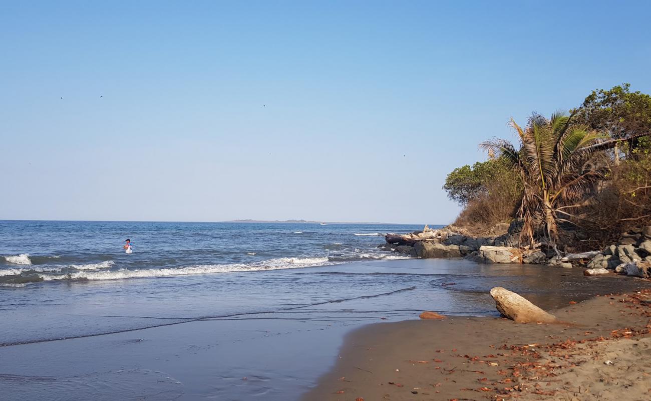 Photo de Beach Point Tiger avec sable brun de surface