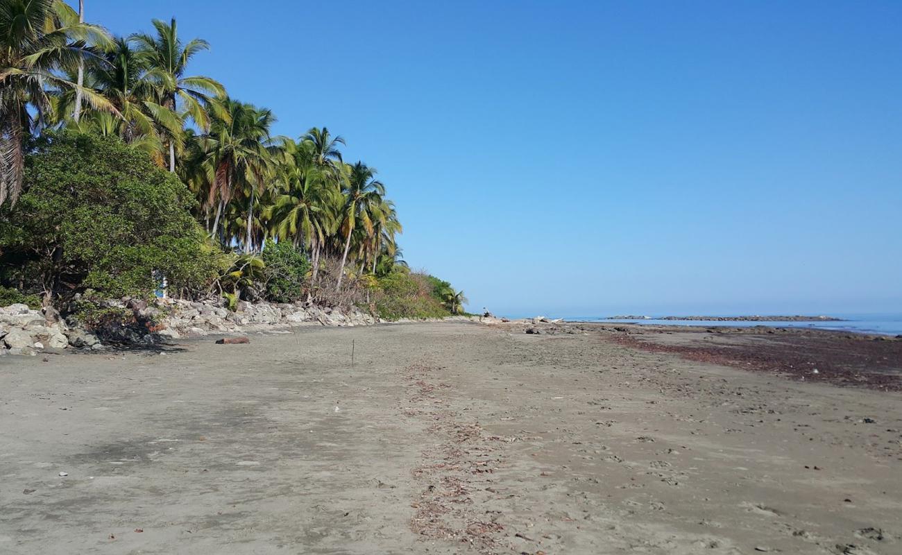 Photo de Candelaria Beach II avec sable brun de surface