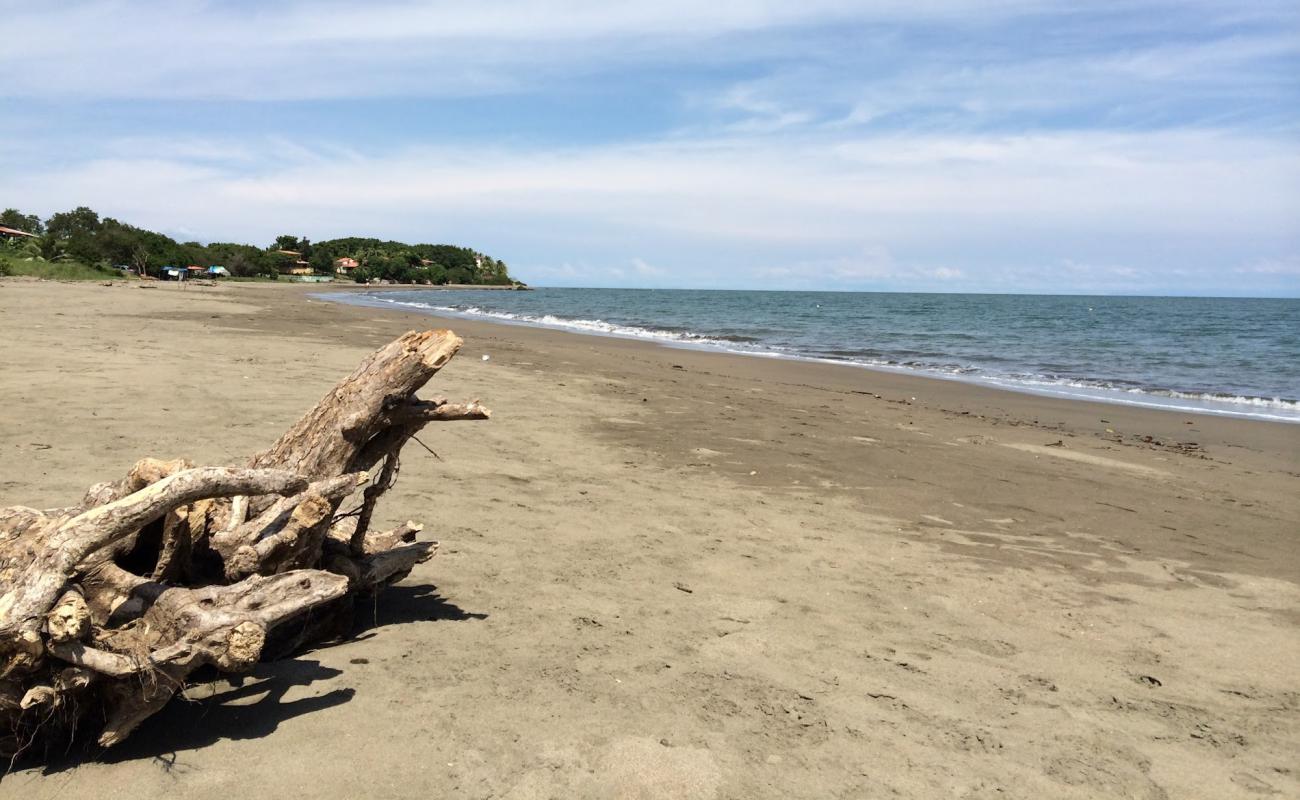 Photo de Estero Beach avec sable brun de surface