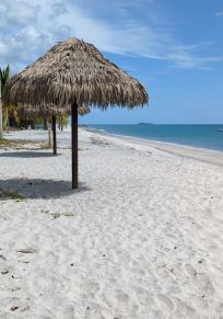 Farallon