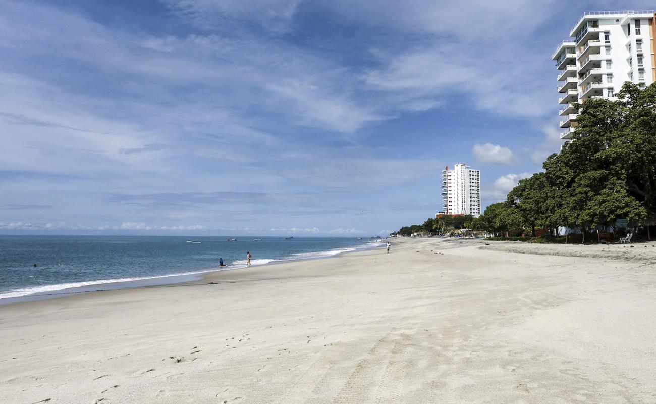 Photo de Farallon Beach avec sable lumineux de surface