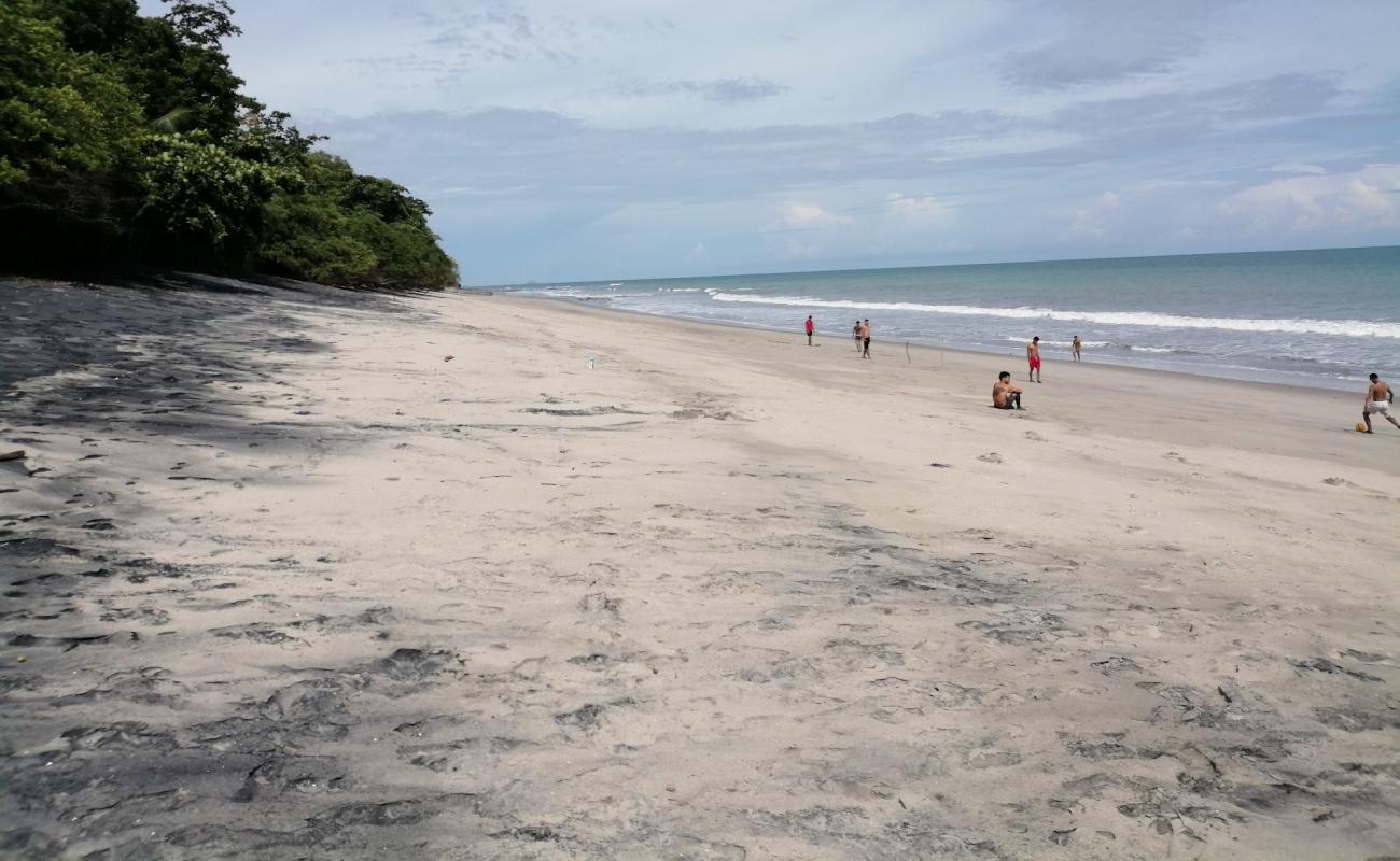 Photo de Los Panama Beach avec sable gris de surface