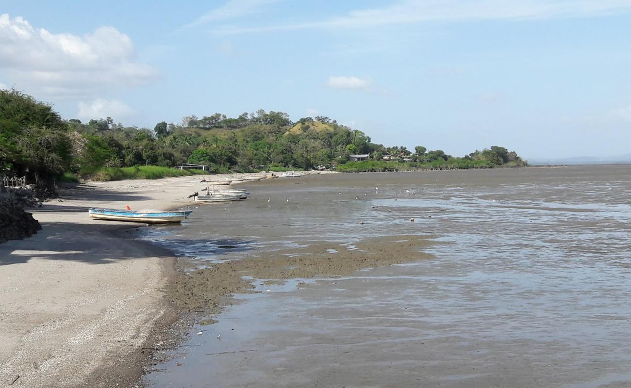 Photo de Leona Beach avec sable gris de surface