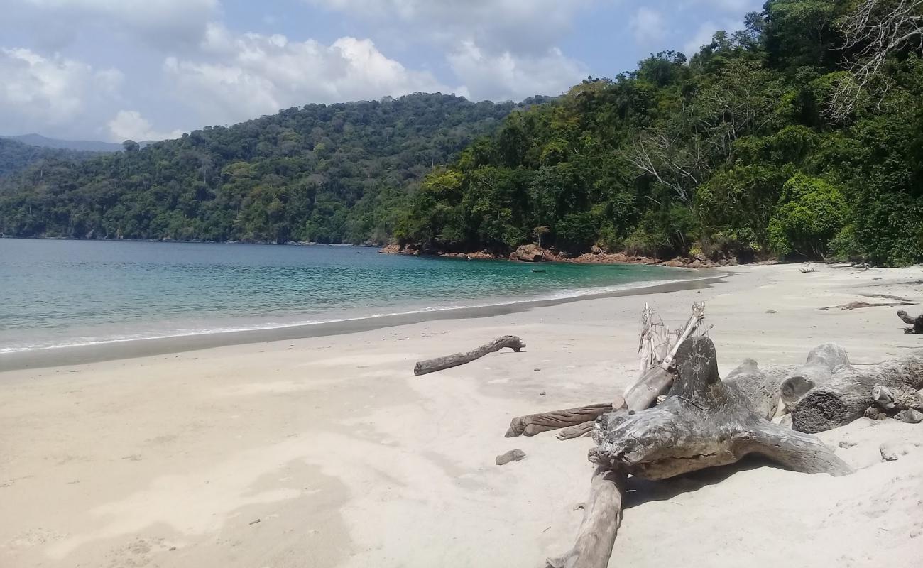 Photo de Tropic Star Beach avec sable lumineux de surface