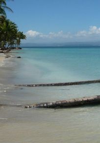 Boca de Drago