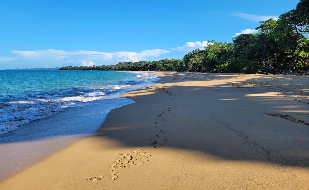 Photo de Plage Bluff avec sable lumineux de surface