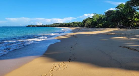 Plage Bluff