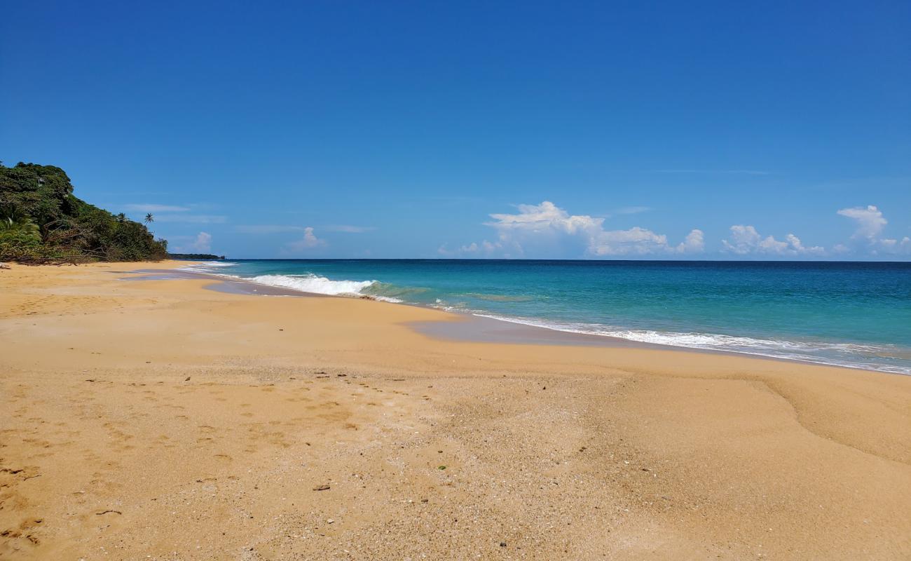 Photo de Plage Escondida avec sable lumineux de surface