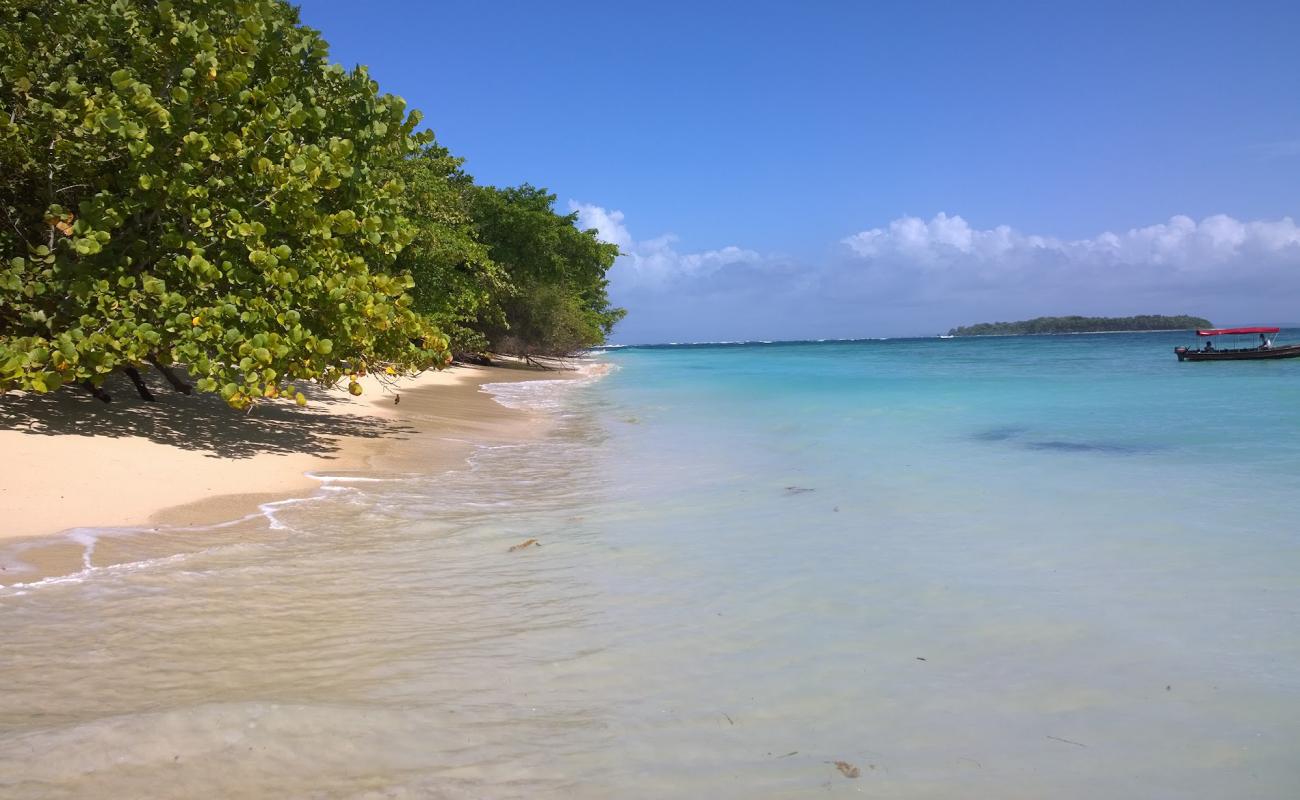 Photo de Cayo Zapatilla Beach II avec sable beige de surface