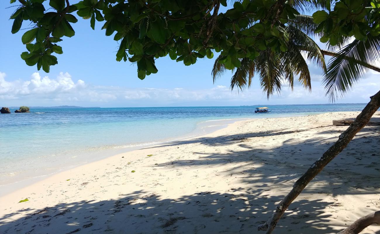 Photo de Cayo Zapatilla Beach avec sable lumineux de surface