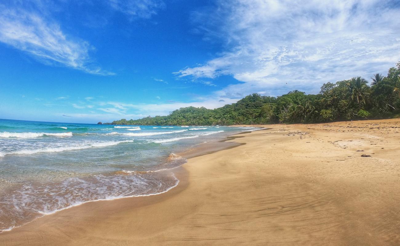 Photo de Wizard Beach avec sable beige de surface