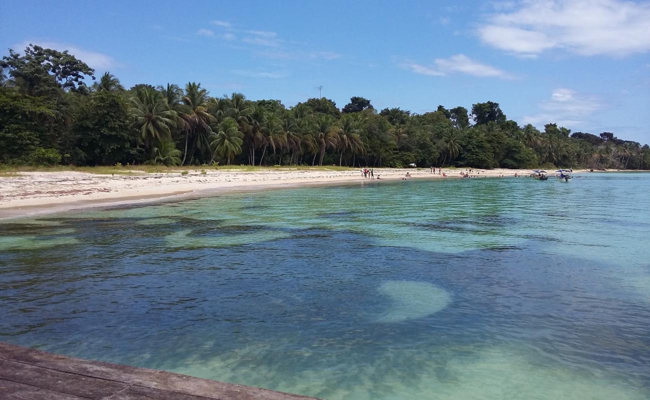 Photo de Salt Creek Beach avec sable lumineux de surface