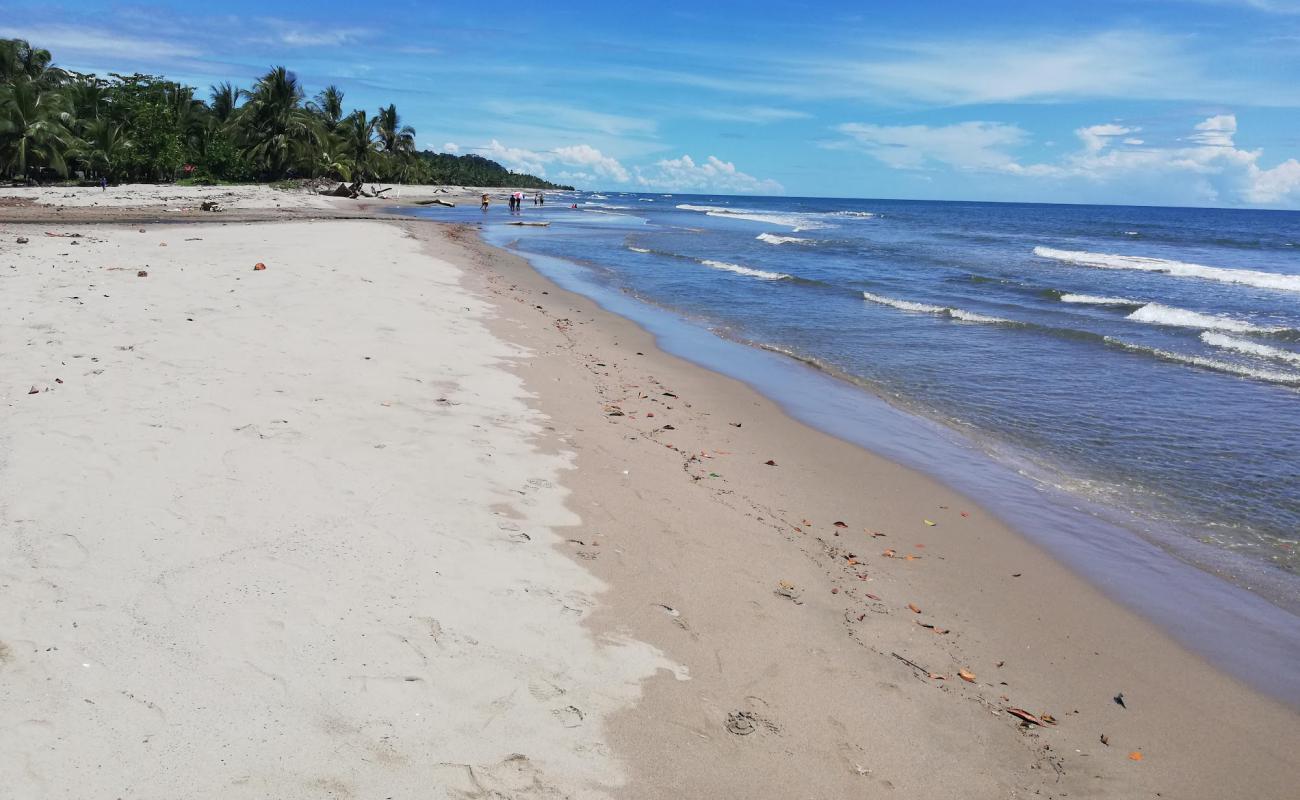 Photo de Calovebora Beach avec sable beige de surface