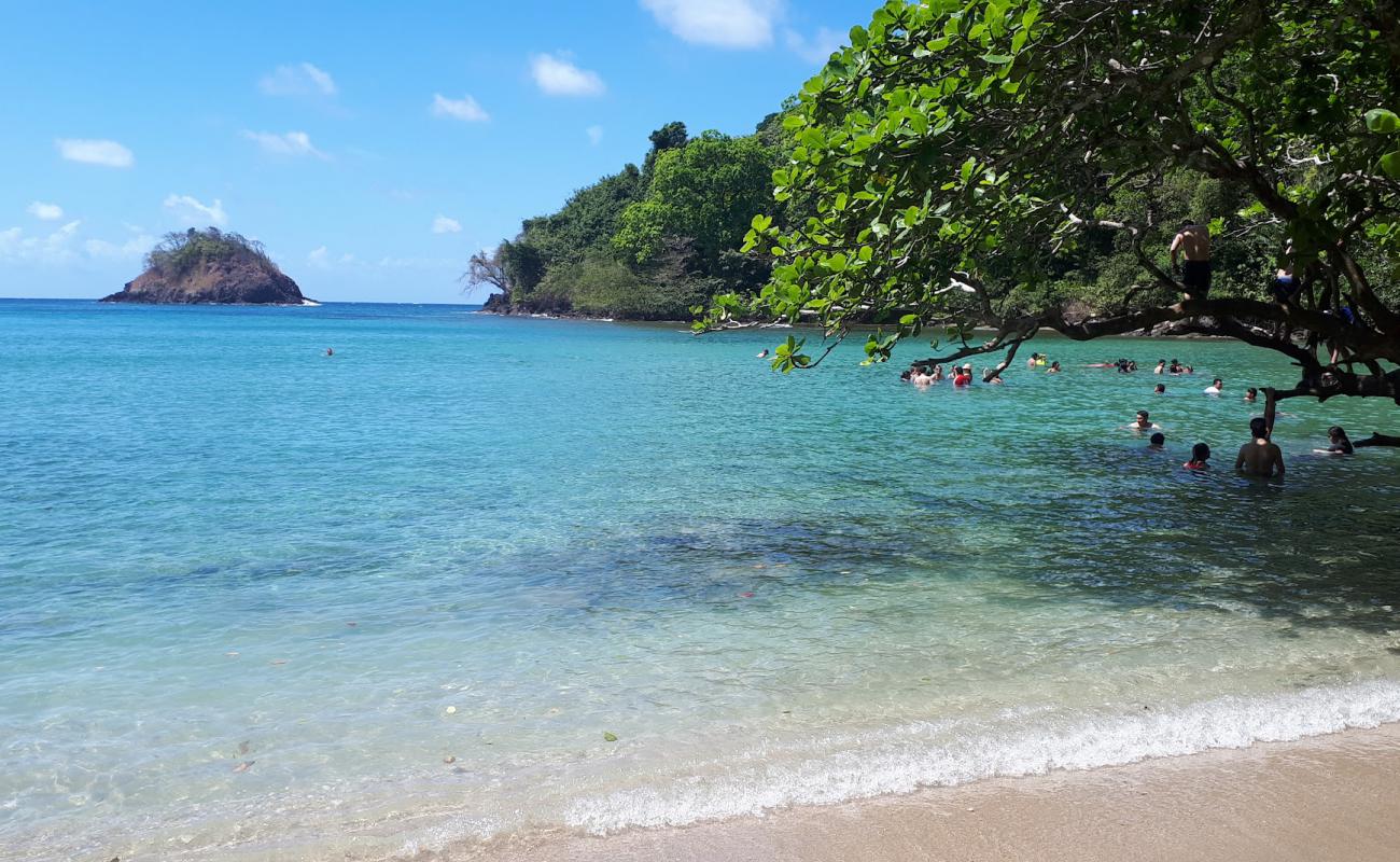 Photo de Huerta Portobelo Beach avec sable lumineux de surface