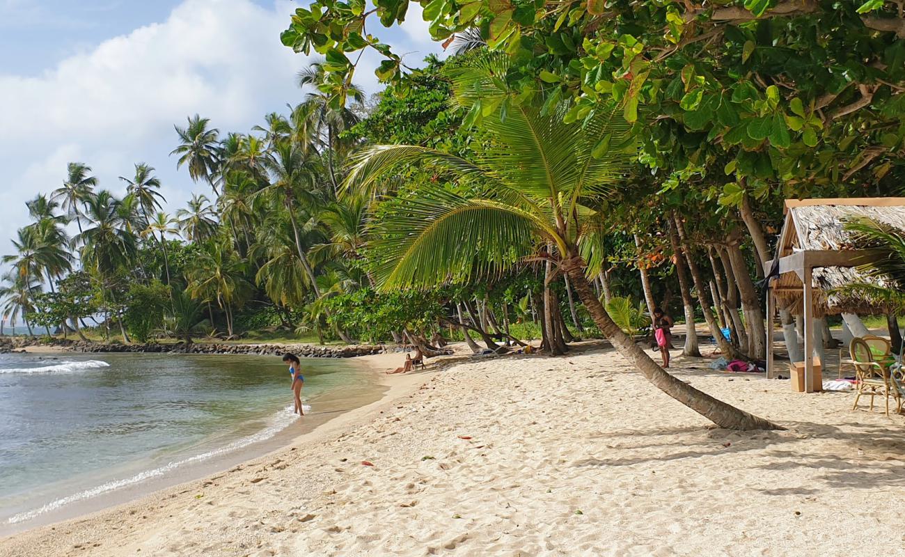 Photo de Plage d'Isla Mamey avec sable lumineux de surface