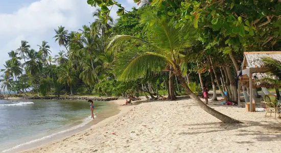 Plage d'Isla Mamey